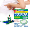 샤론파스ae140