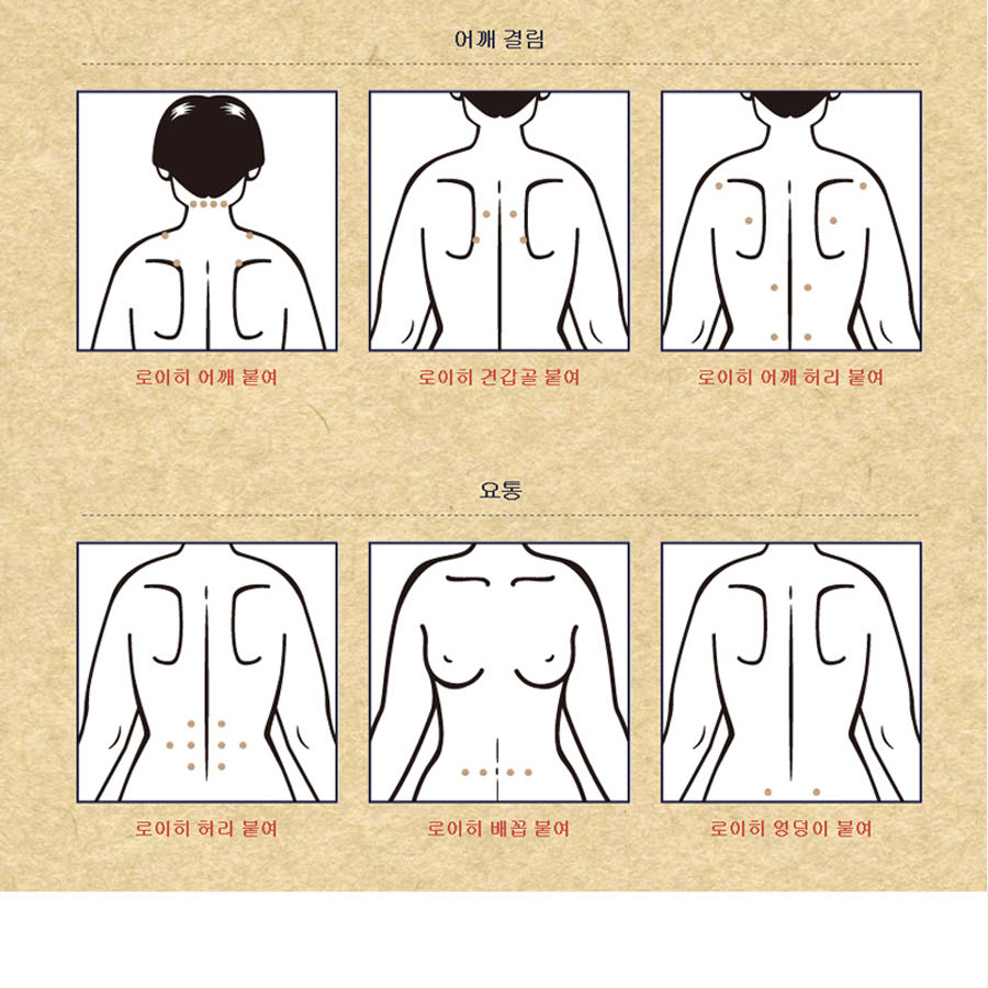 로이히츠보코 동전파스 이미지3