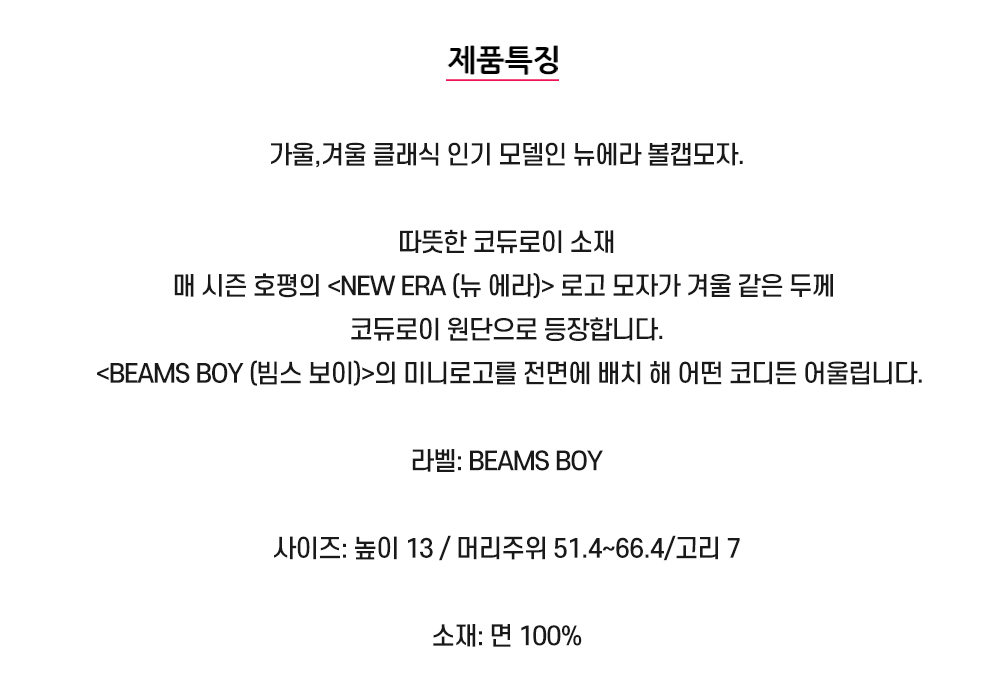 빔즈 상세설명 01