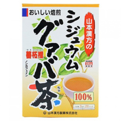100쥬움구아바차3gx20포