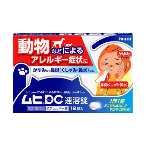 무히dc속도용정12정