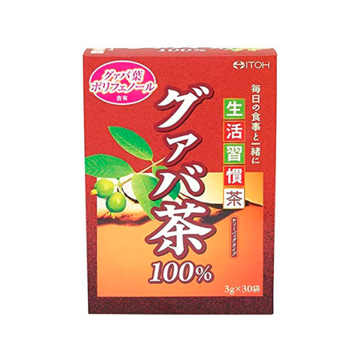 구아바 차 100 30 포