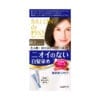 다리야 일본 살롱드프로 염색크림백발용 염색 크림 4gr그레이스 브라운