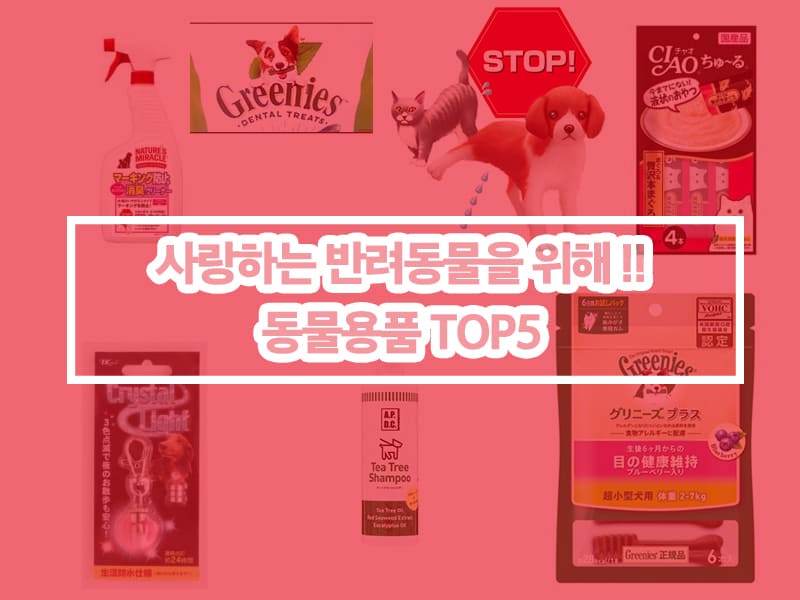 6.02 베스트상품 1