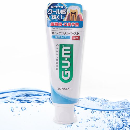 gum 검치약 상쾌한 타입 120g