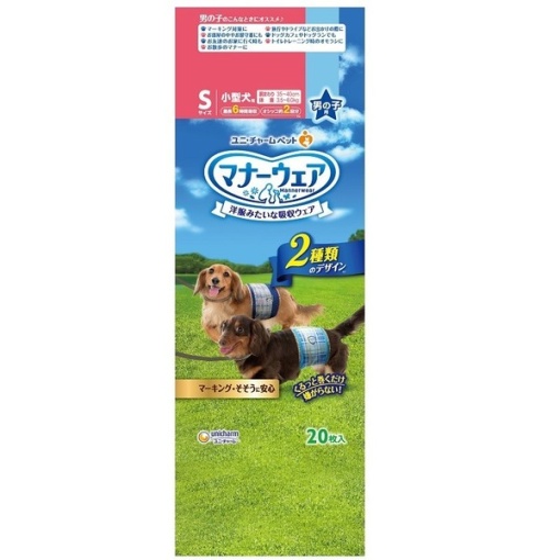 4520699626313 main l