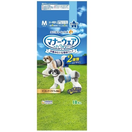 4520699626481 main l