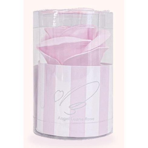 4538353793219 1 main l