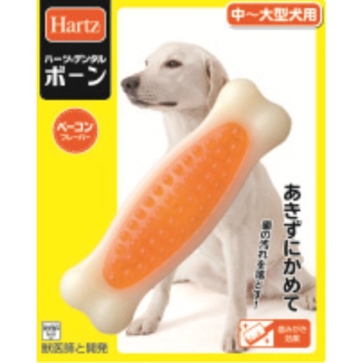 4562149055052 main l