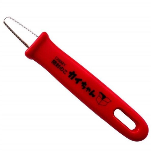 4962069097017 1 main l