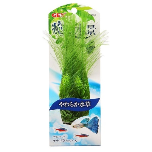 4972547008268 main l