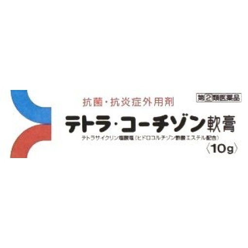 테트라코치존 연고 10g