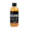 LUSH 러쉬 과초력 샴푸 250g