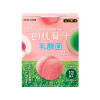 백도 녹즙×유산균 (1포/6.5g x 12포) 일본 약건금의 녹즙