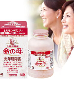 이노치노하하 A 840정