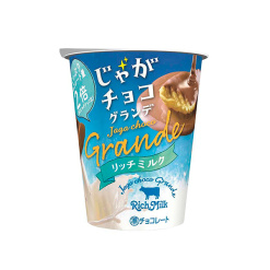 부르봉 초코 감자칩 그란데 리치 밀크 48g