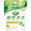 메이지 순간 청량 라임 민트 12g